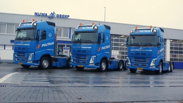 Pultrum.jpg Pultrum.jpg